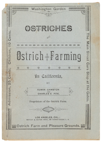 Ostriches and Ostrich Farming in California