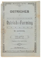 Ostriches and Ostrich Farming in California