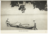 Ceylon - 3