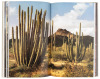 Desert Images: An American Landscape - 3