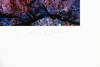 Leaves and Cliff Abstraction #1 - 2