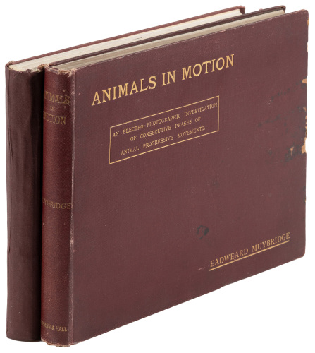 Animals in Motion [with] The Human Figure in Motion