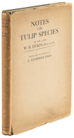 Notes on Tulip Species