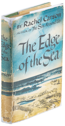 The Edge of the Sea