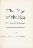 The Edge of the Sea - 4