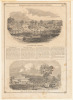 Three views of Sacramento, California - 4