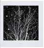 Winter - 3