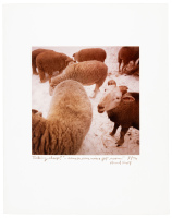 The Ninth Annual Portfolio of the Photographic Education Society