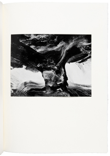 The Photograph as Symbol