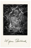 The Photograph as Symbol - 2