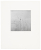 Water's Edge - deluxe box set with 4 copies of the book, each with a different original photograph - 4