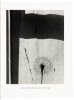 Paul Caponigro: On Prior Lane: A Firefly's Light - 3