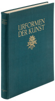 Urformen der Kunst: Photographische Planzenbilder von Professor Karl Blossfeldt