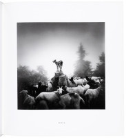 28 Photographs