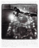 Four volumes by Keith Carter - 2