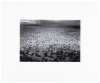 Landscape, New Mexico, 1973
