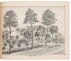 History of Los Angeles County, California, with Illustrations Descriptive of Its Scenery, Residences, Fine Blocks and Manufactories, from Original Sketches by Artists of the Highest Ability - 7
