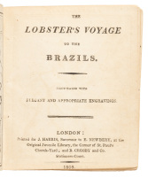 The Lobster's Voyage to the Brazils