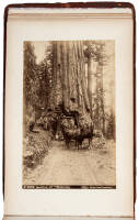 Album containing 46 albumen views of California