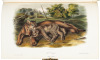 The Quadrupeds of North America - 5