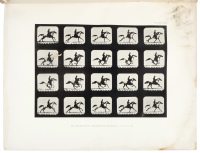 The Horse in Motion as Shown by Instantaneous Photography, with a Study on Animal Mechanics Founded on Anatomy and the Revelations of the Camera, in Which Is Demonstrated the Theory of Quadrupedal Locomotion