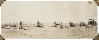 Chas. Gad. Harvesting. 1915. Flaxton, N.D.