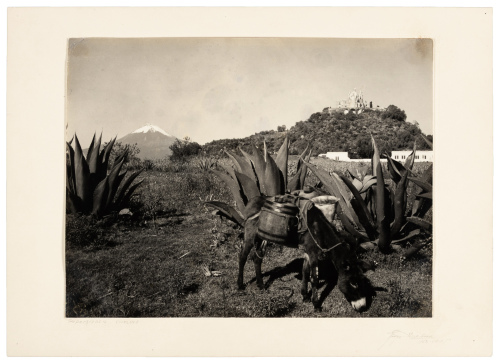 Popocatepetl Cholula