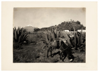Popocatepetl Cholula
