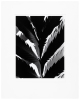 Leaf Pattern