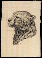 Pen and ink drawing of a Cheetah