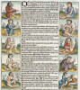 Bifolium from the Nuremberg Chronicle comprising folios XII and XIII - 7