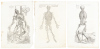 Three original printed leaves from the first edition of De humani corporis fabrica, with full-page anatomical woodcut