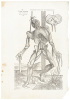 Three original printed leaves from the first edition of De humani corporis fabrica, with full-page anatomical woodcut - 3
