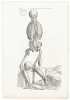 Three original printed leaves from the first edition of De humani corporis fabrica, with full-page anatomical woodcut - 5