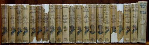 17 volumes from the Westy Martin series, plus 4 others