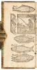 The Young Sportsman's Delight and Instructor in Angling, Fowling, Hawking, Hunting, ordering Singing Birds, Hawks, Poultry, Conies, Hares, Dogs, &c. and how to Cure them - 3
