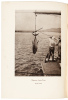 Tales of Fishing Virgin Seas - 2