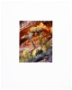 Two Trees and Cliff