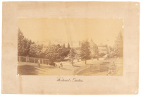 Woodward's Gardens, San Francisco