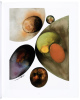 Irving Penn: Paintings - 2