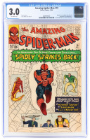 AMAZING SPIDER-MAN No. 19