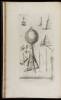 Lexicon Technicum: Or, an universal English dictionary of arts and sciences: Explaining not only the terms of art, but the arts themselves - 2