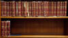 The Naturalist's Library - 4