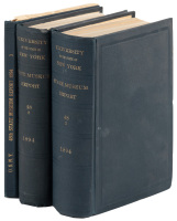 New York State Museum - 48th Annual Report of the Regents 1894