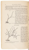 Second Annual Report of the Chief Executive Viticultural Officer to the Board of State Viticultural Commissioners, For the Year 1882-3 - 3