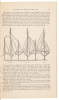 Second Annual Report of the Chief Executive Viticultural Officer to the Board of State Viticultural Commissioners, For the Year 1882-3 - 4