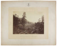 Cooley's Park, Sierra Blanca Range, Arizona