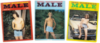 Mel Roberts Male: Issues 1-3