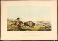 Hunting the Buffaloe