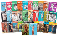32 issues of The Male Figure